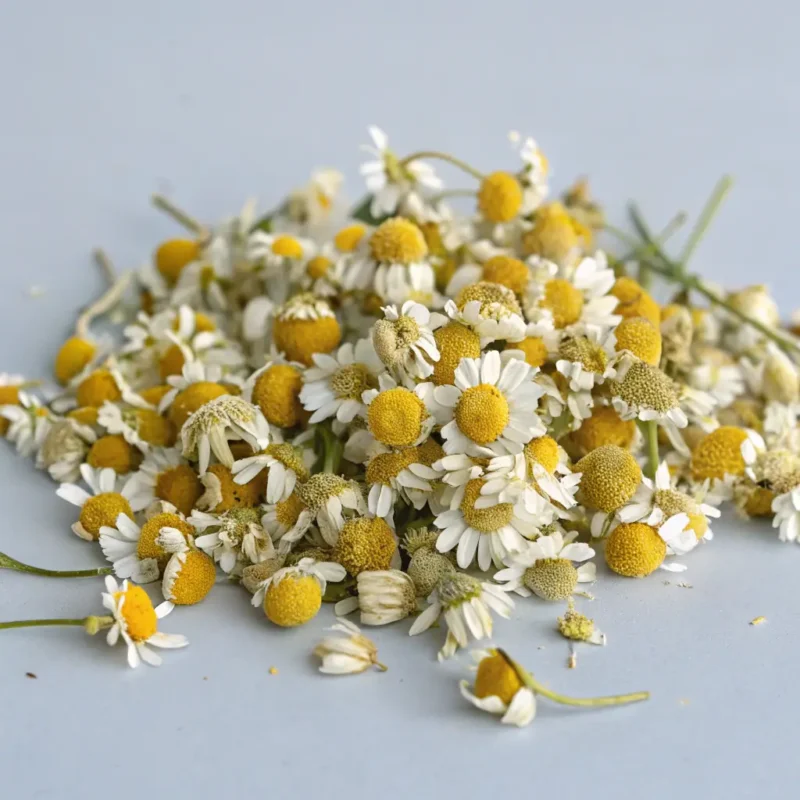 Chamomile Herbal Tea